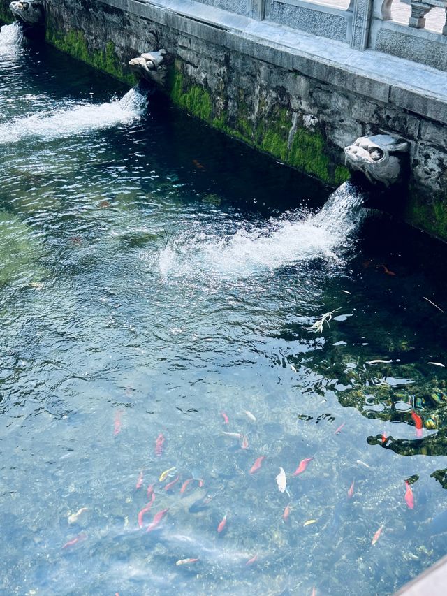 來濟南邂逅一場詩意的旅程吧！這座泉城既有大明湖的溫婉，又有千佛山的壯闊，更藏著讓你驚喜的美食~  