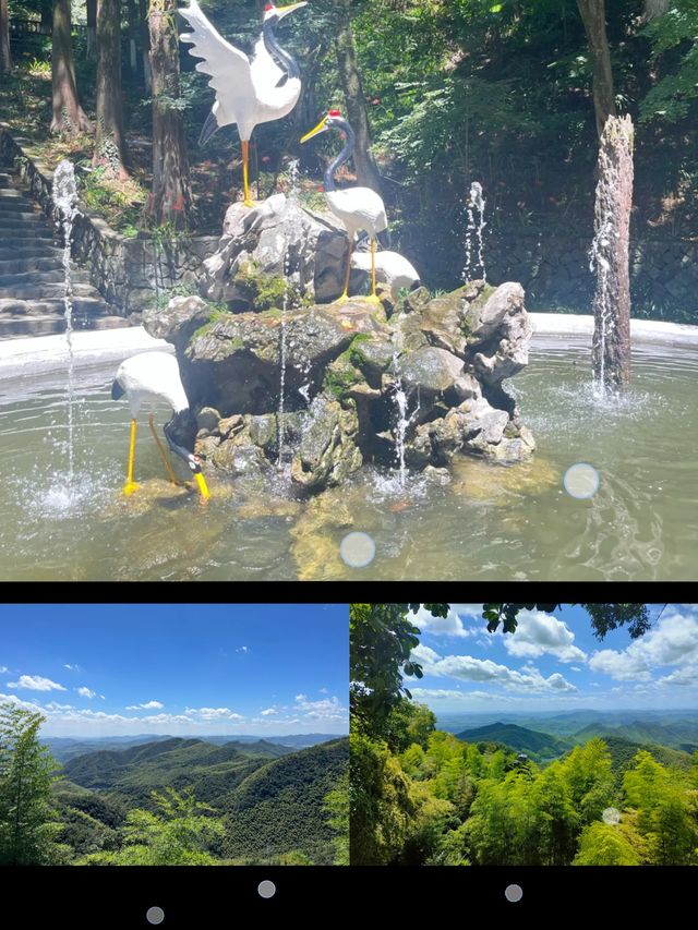 莫干山再訪攻略!今次發掘到更多隱藏樂趣~ 上次去莫干山意 莫干山再訪攻略!今次發掘到更多隱藏樂趣~ 上次去莫干山意