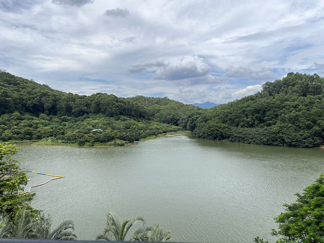 東莞私藏的秘境