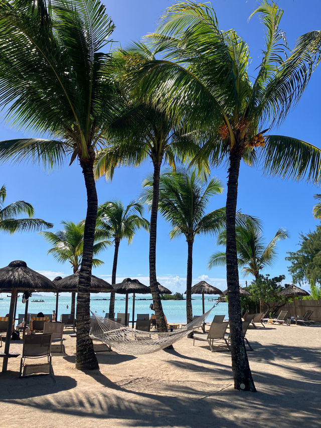 An Unforgettable Stay at Zilwa Attitude