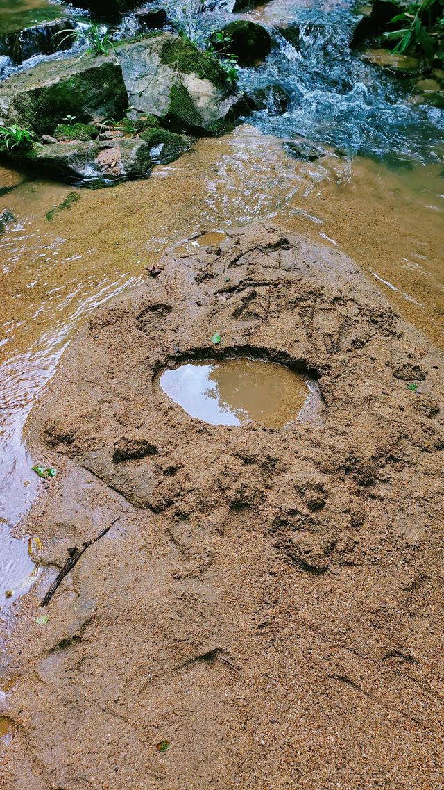 夏末藏著的清涼地！龍頸里踩水挖沙，孩子玩瘋大人放空～