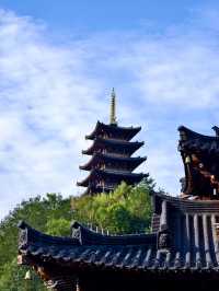 佛影悠然：金台山的禪意時光