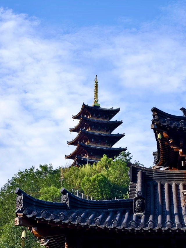 佛影悠然：金台山的禪意時光