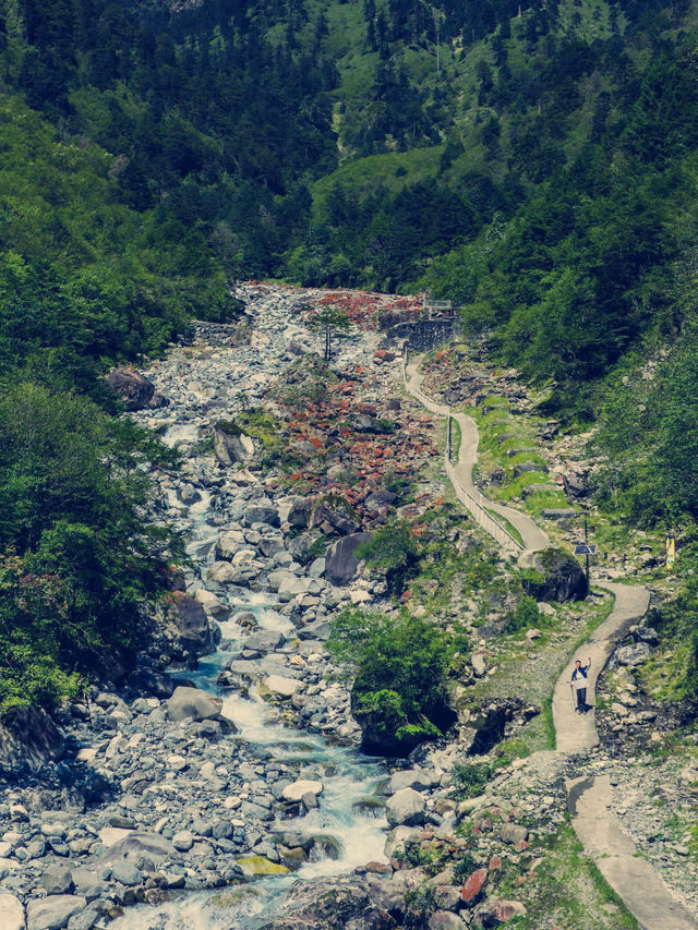 3h飆到綠野仙蹤，降溫10℃還能撸鹿，反向旅遊贏麻了