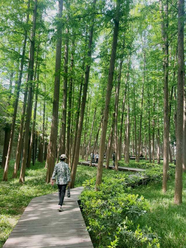 3 days itinerary to explore Nanjing City