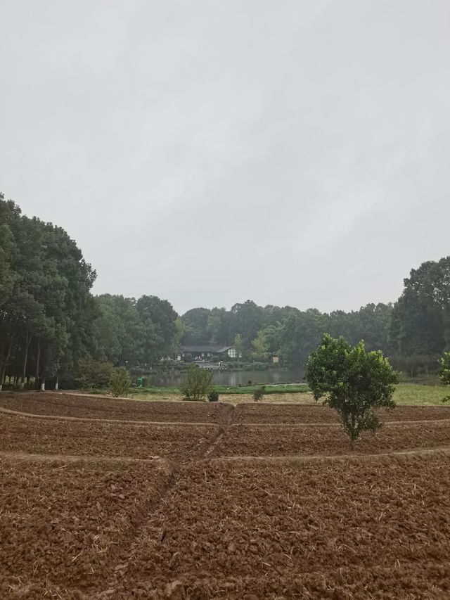 廣安遊