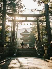 奈良東大寺手記｜在蓮花座下與唐朝的風重逢