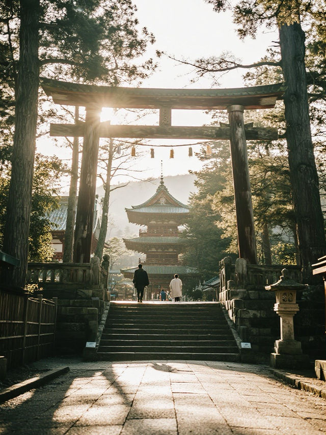 奈良東大寺手記｜在蓮花座下與唐朝的風重逢