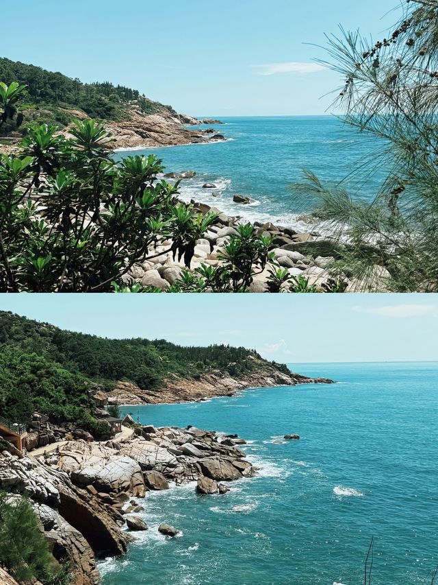 億萬年的海龜故事