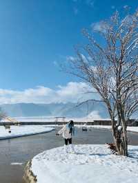 私藏雪景拍照聖地香格里拉民宿