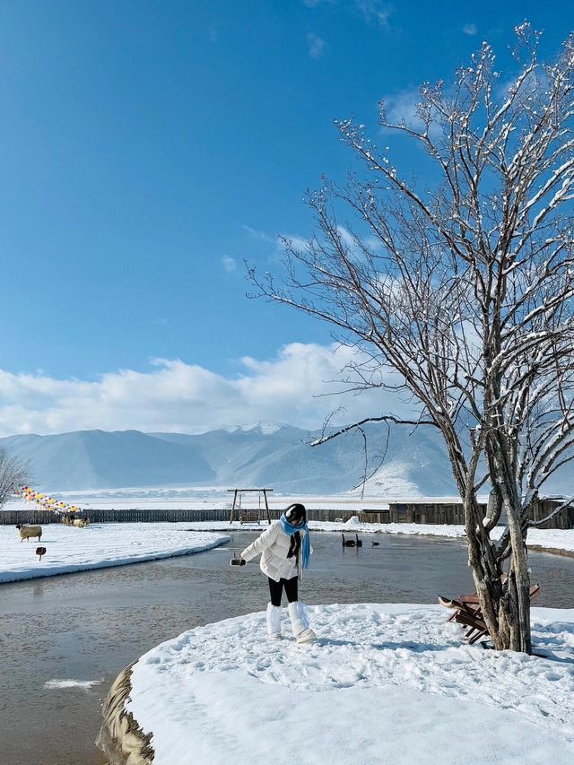 私藏雪景拍照聖地香格里拉民宿