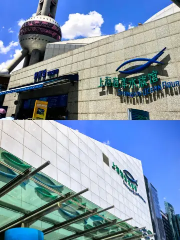 魔都遛娃天花板!上海海洋水族館保姆級攻略
