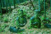 竹林秘境中的神祕宋墓餘姚孫子秀墓探秘攻略