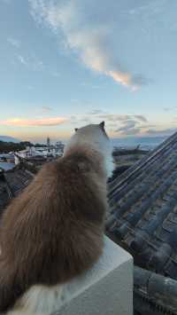 我在民宿等日落