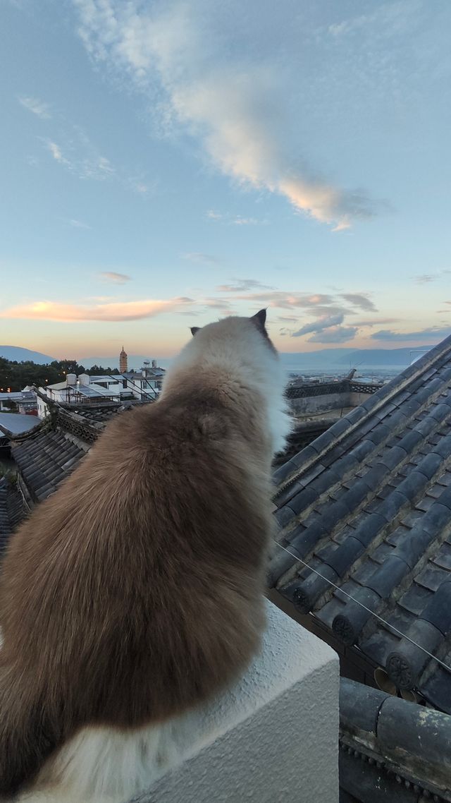 我在民宿等日落