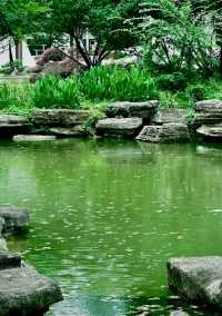 雨中秋色漫長沙，邂逅烈士公園的治癒系浪漫