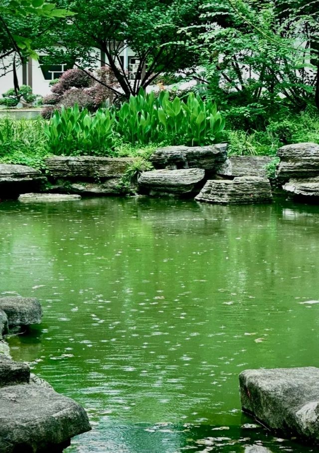 雨中秋色漫長沙，邂逅烈士公園的治癒系浪漫