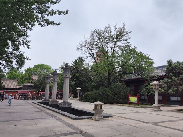 西安·唐大慈恩寺遺址公園