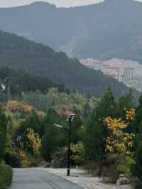 濟南將山秋日攻略｜免費氧吧裡的遛娃、拍秋全指南