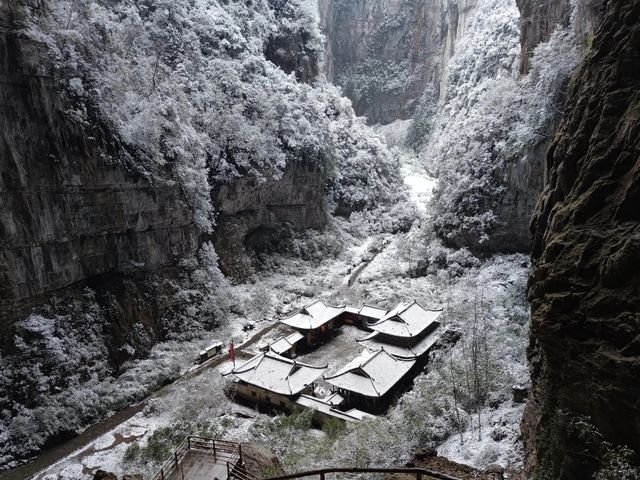 重慶下雪了！衝！仙女山2日遊保姆級攻略！