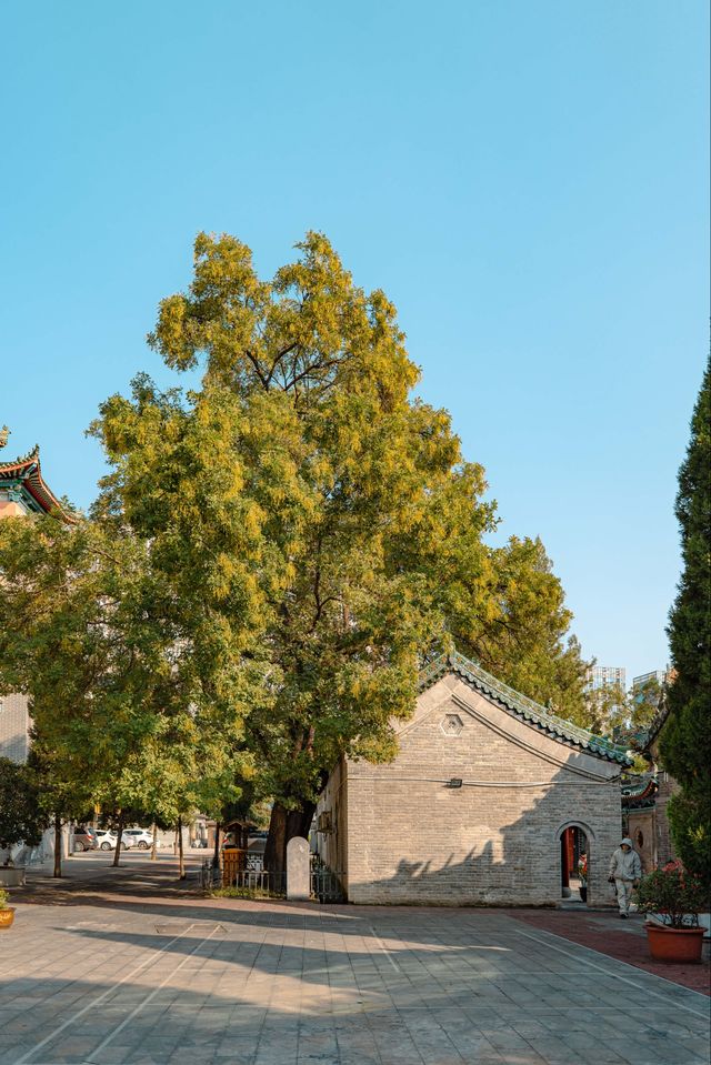 鄭州藏在老城的驚喜！600年古寺的中伊美學暴擊