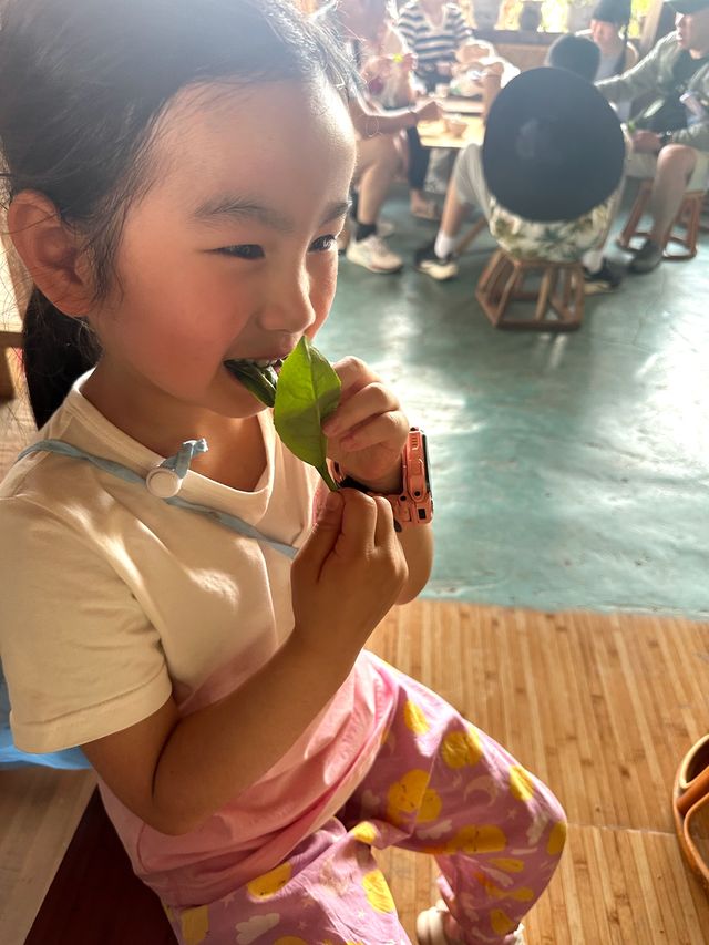 野象谷攻略|教你玩轉版納