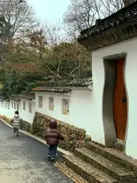 離滬計劃（41/100）桐廬 ｜ 山裡當野人的日子
