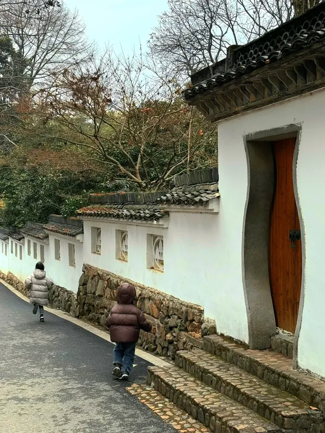 離滬計劃（41/100）桐廬 ｜ 山裡當野人的日子
