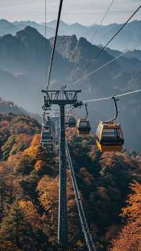 光霧山進入紅葉最佳觀賞期