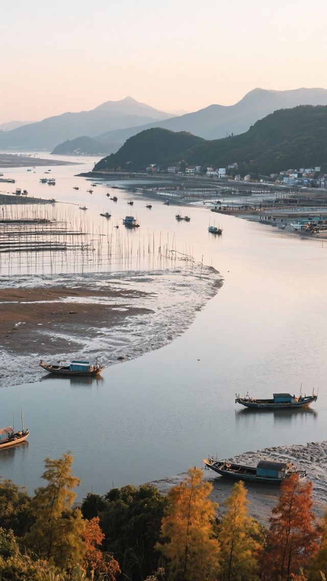 帶上家人來金秋福建三天兩晚，體驗山海與古韻的邂逅！
