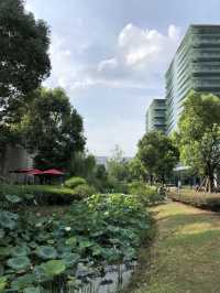 杭州未來城海創園