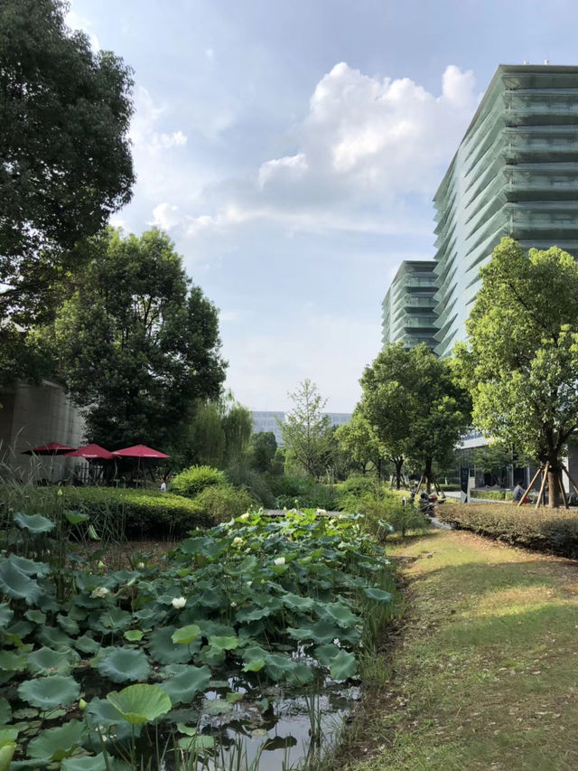 杭州未來城海創園 杭州未來城海創園