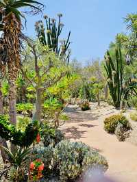 洛杉磯 盖蒂中心 格里菲斯天文台 植物園