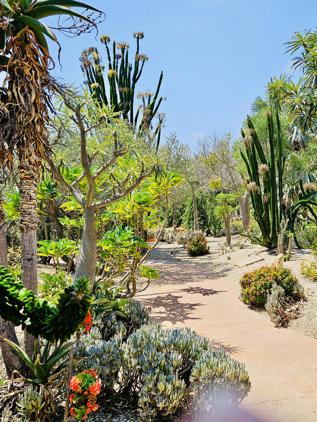 洛杉磯 盖蒂中心 格里菲斯天文台 植物園