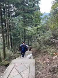 湖光山色絕美廬