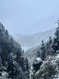 雪山之下，彩林環繞，這裡的秋天美到讓人忘詞！