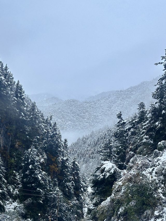 雪山之下，彩林環繞，這裡的秋天美到讓人忘詞！
