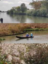 11月的下渚湖，是秋天最治癒的打開方式！