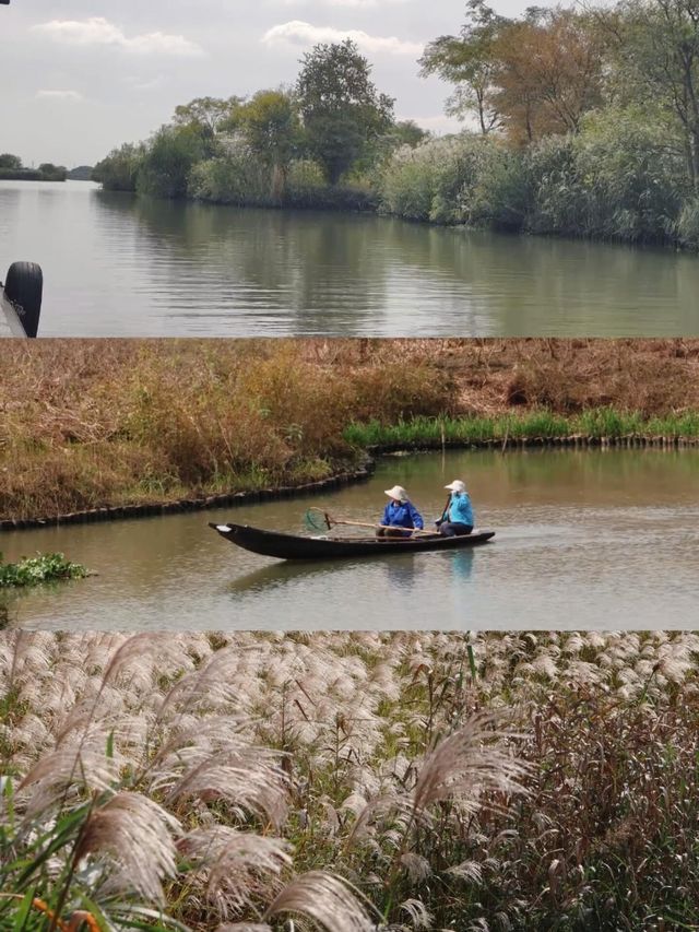 11月的下渚湖，是秋天最治癒的打開方式！