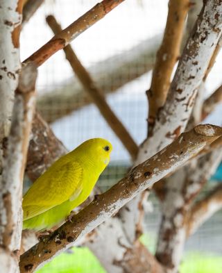 萌寵、溫泉與惠州218最美公路的溫暖邂逅