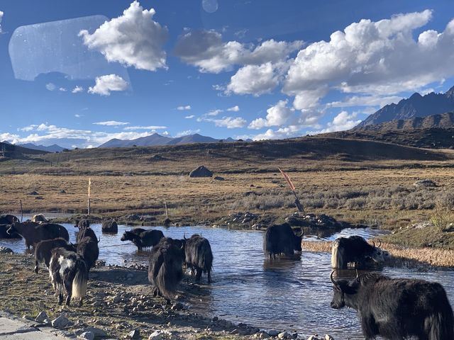 2025國慶川西，親測經驗及避坑指南