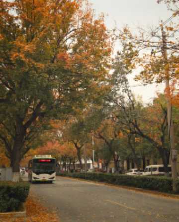 還得是西安的小香港啊!紡正街