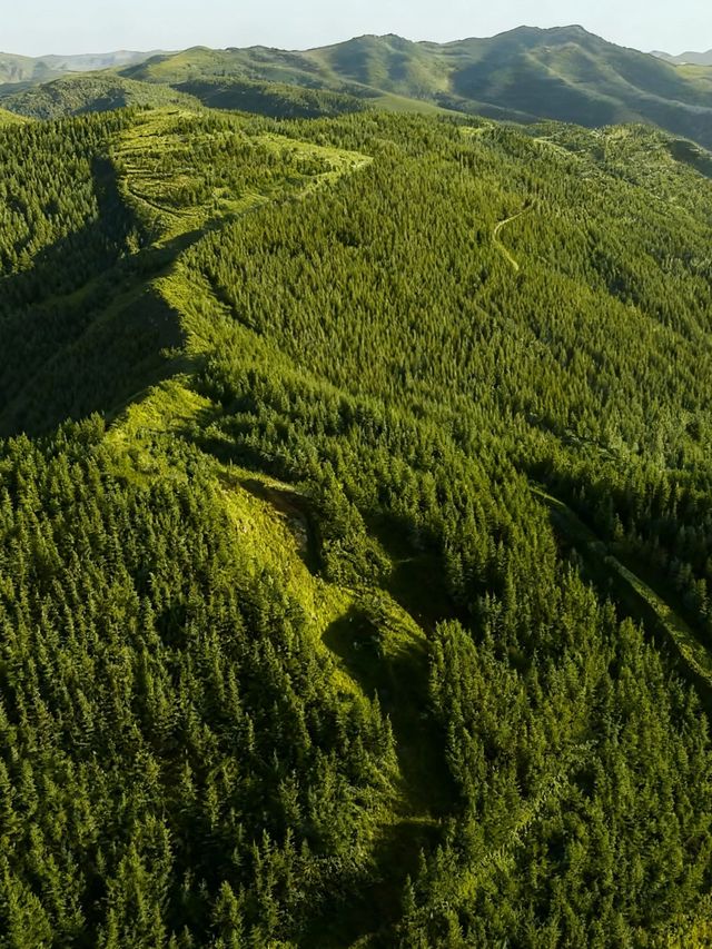 六盤山|闖入大西北的綠野秘境 六盤山|闖入大西北的綠野秘境