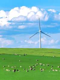 不回去了，我決定留在鄂爾多斯草原放羊了……— 治癒系草原攻略