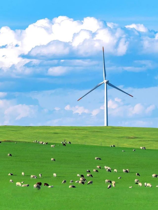 不回去了，我決定留在鄂爾多斯草原放羊了……— 治癒系草原攻略