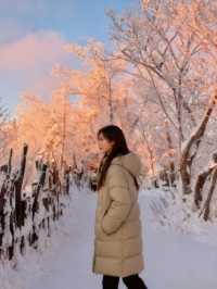 冬日霧淞奇遇記