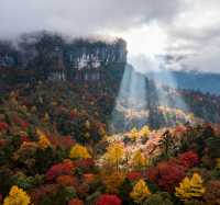 秋色天花板！瓦屋山彩林進入最佳觀賞期，錯過再等一年