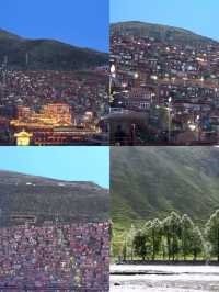 塔公草原藏於川西的「風蕭草低見牛羊」秘境