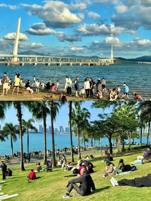 深圳0元寶藏玩法｜免費打卡山海、公園與文藝角落，拍照出片不重