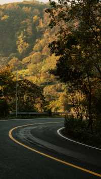 新昌,回山秋景已經藏不住了快衝呀